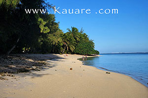 beach on Rarotonga a short walk from the lodge accommodation