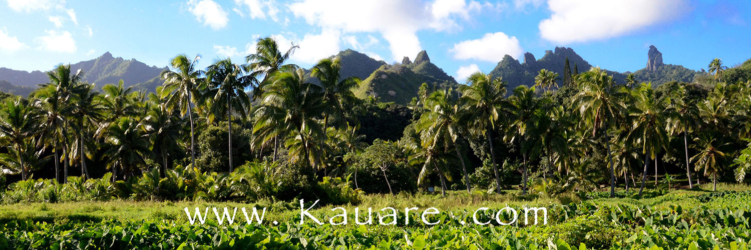 The accommodation interior of Kauare homestay in Rarotonga, Cook Islands