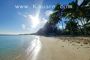 The beach with coconut trees near the lodge