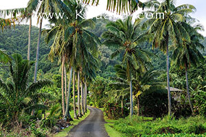 View of Kauare Road with the lodge on the righ beneath mountains of Rarotonga