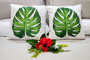 taro plantations and mountain scenery of Rarotonga near the lodge accommodation