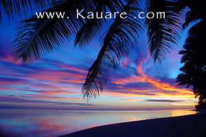 sunset through coconut palm trees on south rarotonga